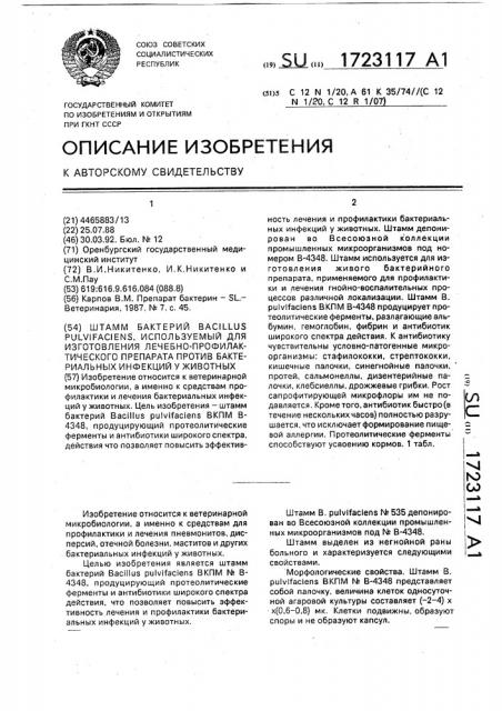 Штамм бактерий bacillus pulvijaciens, используемый для изготовления лечебно-профилактического препарата против бактериальных инфекций у животных (патент 1723117)