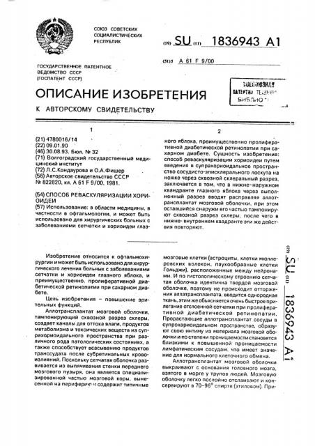 Способ реваскуляризации хориоидеи (патент 1836943)