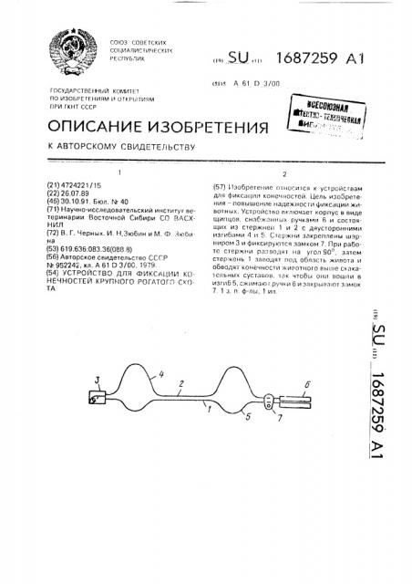 Устройство для фиксации конечностей крупного рогатого скота (патент 1687259)