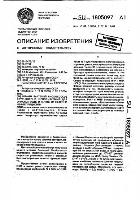 Штамм бактерий rноdососсus еryтнrороlis, используемый для очистки воды и почвы от нефти и нефтепродуктов (патент 1805097)