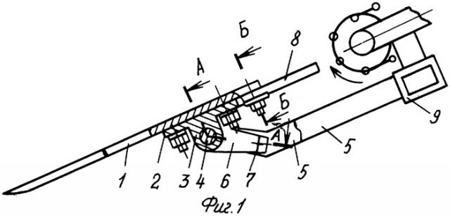 Выкапывающий рабочий орган корнеклубнеуборочной машины (патент 2318308)