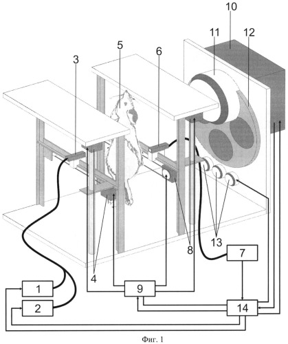 Устройство получения томографических флуоресцентных изображений (патент 2515203)