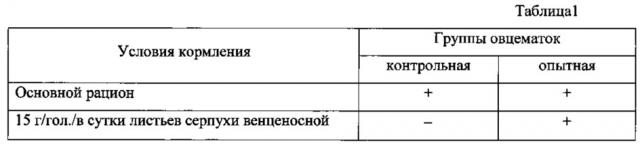 Способ улучшения рациона овец в условиях крайнего севера (патент 2624219)