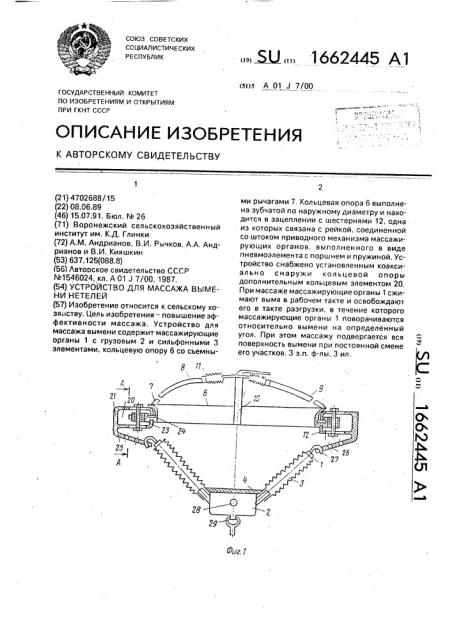 Устройство для массажа вымени нетелей (патент 1662445)