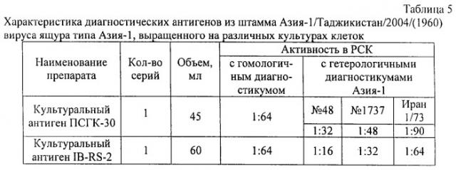 Штамм азия-1/таджикистан/2004(1960) вируса ящура типа азия-1 для изготовления диагностических и/или вакцинных препаратов (патент 2297452)