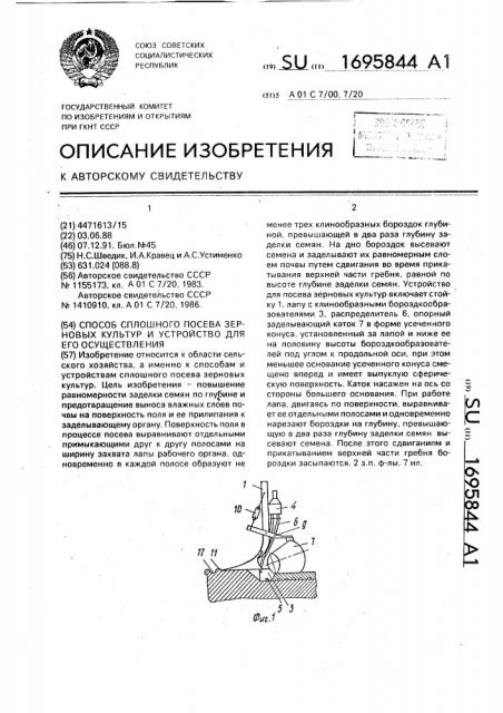 Способ сплошного посева зерновых культур и устройство для его осуществления (патент 1695844)