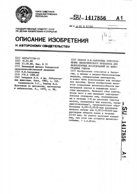 Способ н.ф.запорожца приготовления биологического препарата для лабораторных исследований из виноградных улиток (патент 1417856)
