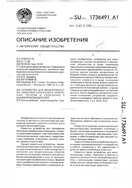Устройство для механопрессуры областей солнечного сплетения печени и селезенки у быков - производителей (патент 1736491)