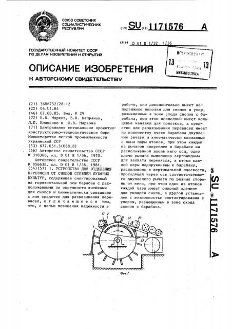 Устройство для отделения перевясел от снопов стеблей лубяных культур (патент 1171576)