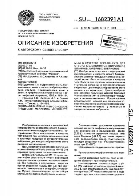 Штамм бактерий viвriо сноlеrае - продуцент меланина, используемый в качестве тест-объекта для отбора меланинпродуцирующих штаммов холерных вибрионов (патент 1682391)