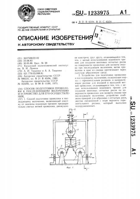 Способ подготовки проволоки к последующему волочению и устройство для его осуществления (патент 1233975)