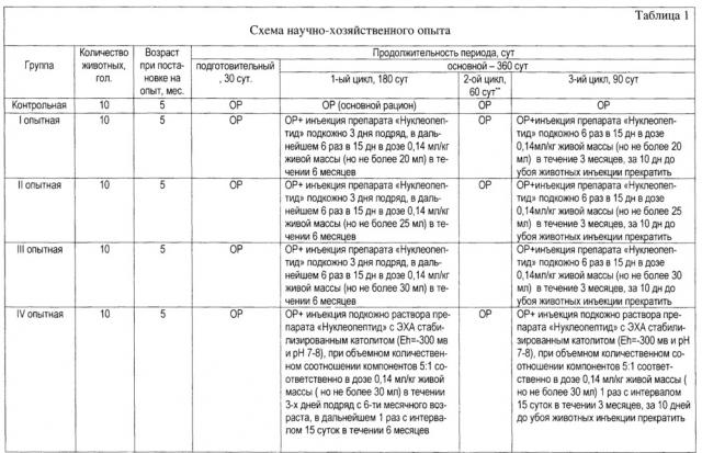 Способ повышения эффективности применения биогенных стимуляторов при откорме молодняка крупного рогатого скота (патент 2663463)