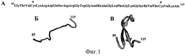 Способ стабилизации петлеобразной структуры синтетических пептидов с помощью n- и c-концевых модификаций (патент 2304146)