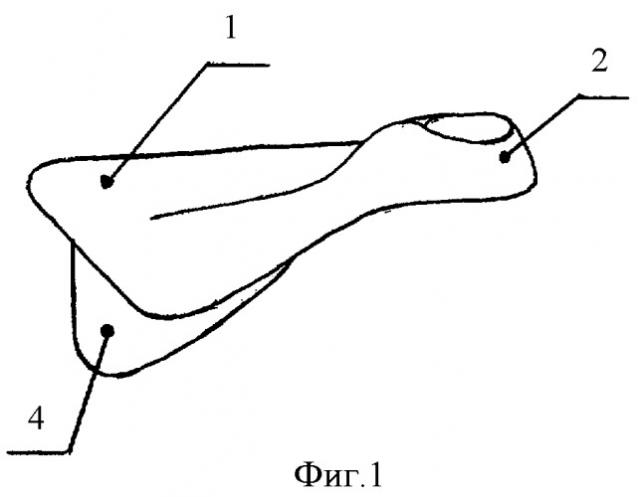 Ласт (патент 2382663)
