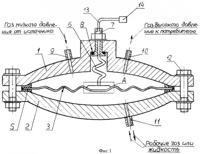 Мембранный компрессор (патент 2398132)