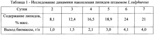 Штамм базидиомицета laetiporus sulphureus вкпм f-1286 - продуцент липидов (патент 2656143)