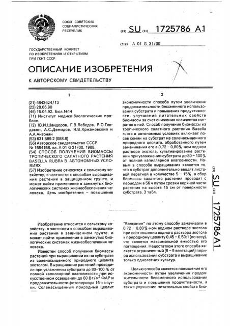 Способ получения биомассы тропического салатного растения basella ruвrа в автономных условиях (патент 1725786)