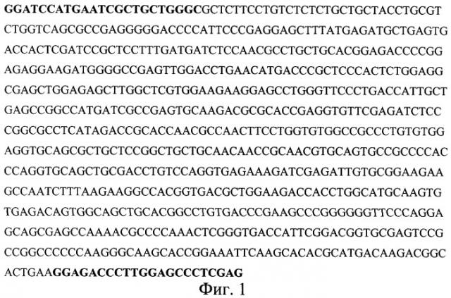 Штамм дрожжей pichia pastoris 2-2 - продуцент тромбоцитарного фактора роста человека (pdgf-bb) и способ получения тромбоцитарного фактора роста человека (патент 2290434)