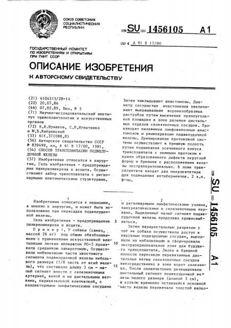 Способ трансплантации поджелудочной железы (патент 1456105)
