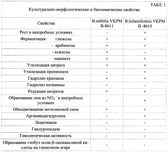 Биопрепарат балис для профилактики и лечения инфекционных болезней (патент 2454238)