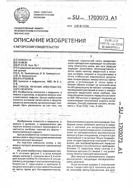 Способ лечения апостематозного нефрита (патент 1703073)