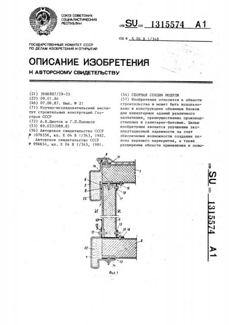 Сборная секция модуля (патент 1315574)
