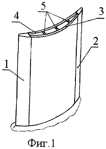 Пустотелая лопатка газотурбинного двигателя (патент 2450126)