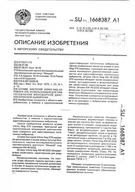 Штамм бактерий viвriо nag серовара 079, используемый для приготовления моноварной диагностической сыворотки (патент 1668387)