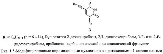 Новые 5-модифицированные пиримидиновые нуклеозиды - ингибиторы роста mycobacterium tuberculosis (патент 2517173)