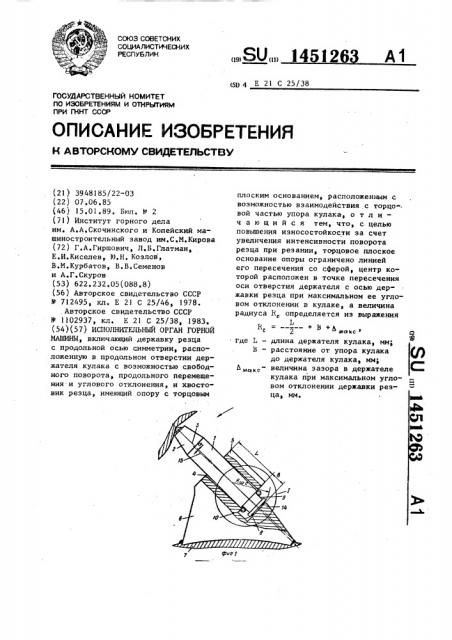 Исполнительный орган горной машины (патент 1451263)