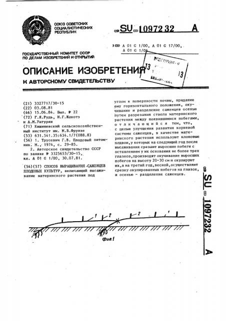 Способ выращивания саженцев плодовых культур (патент 1097232)