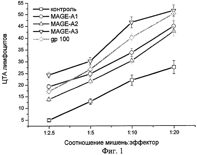 Белковопептидный противоопухолевый композит, клеточный препарат, активированный этим композитом, и способ профилактики или лечения опухолей (патент 2283129)