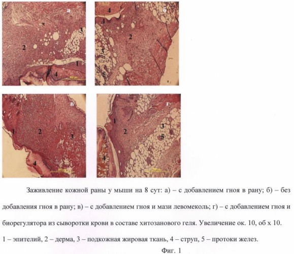 Ранозаживляющий гель (патент 2468814)