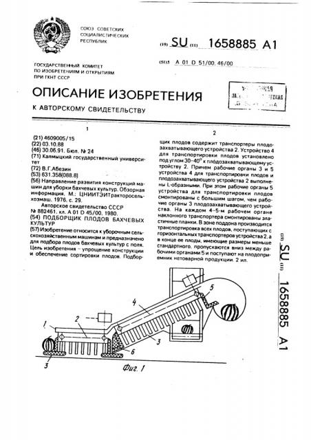 Подборщик плодов бахчевых культур (патент 1658885)