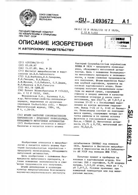 Штамм бактерий соrynевастеriuм sереdоniсuм - продуцент полисахарида, обладающего митогенной активностью (патент 1493672)