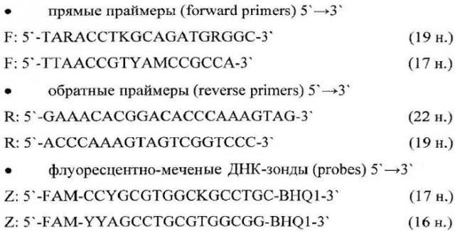 Набор олигодезоксирибонуклеотидных праймеров и флуоресцентно-меченых зондов для идентификации рнк риновирусов человека (патент 2543151)