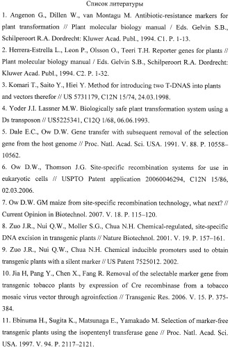 Рекомбинантная плазмида pbm и способ получения с ее использованием безмаркерных трансгенных растений, синтезирующих целевые продукты (патент 2410433)