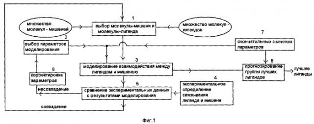 Способы моделирования межмолекулярного взаимодействия и основанный на них способ прогнозирования связывания молекулы-лиганда с молекулой-мишенью (патент 2265243)