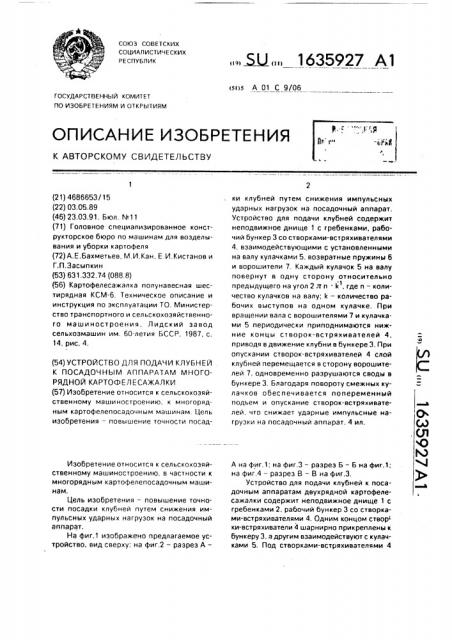 Устройство для подачи клубней к посадочным аппаратам многорядной картофелесажалки (патент 1635927)