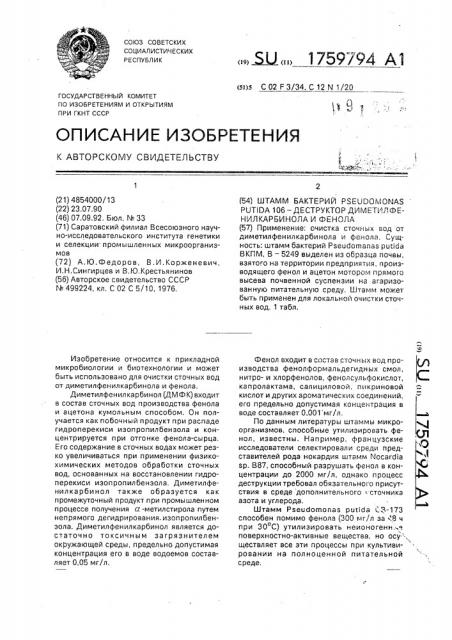 Штамм бактерий рsеudомоnаs рuтidа - 106 - деструктор диметилфенилкарбинола и фенола (патент 1759794)