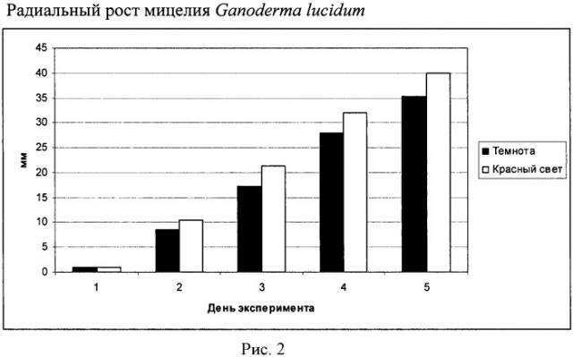 Способ выращивания мицелия ganoderma lucidum (патент 2446206)