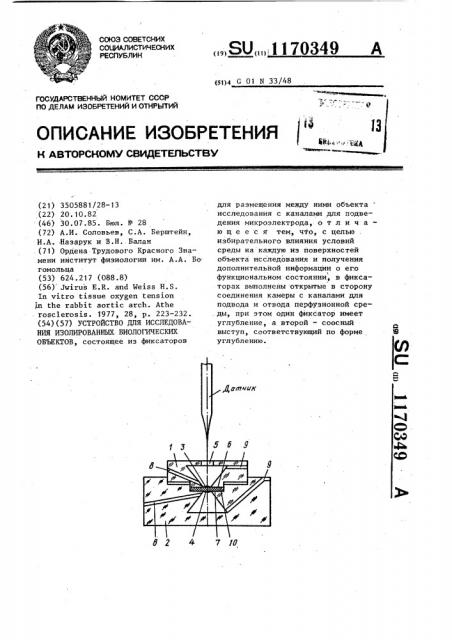 Устройство для исследования изолированных биологических объектов (патент 1170349)