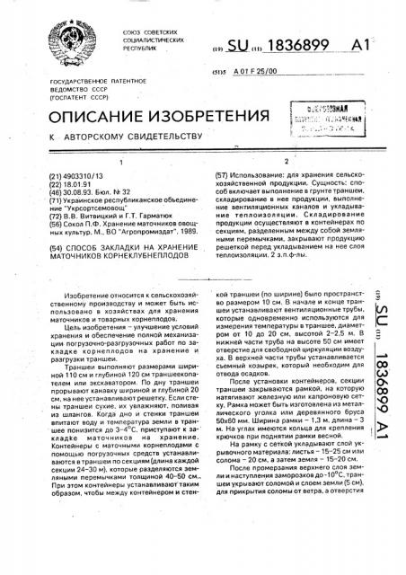 Способ закладки на хранение маточников корнеклубнеплодов (патент 1836899)