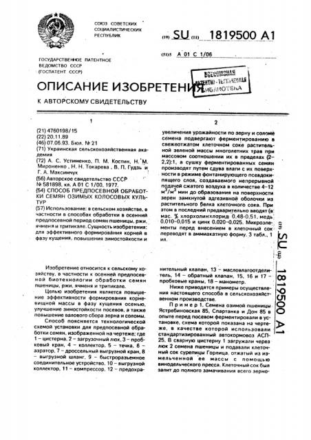 Способ предпосевной обработки семян озимых колосовых культур (патент 1819500)