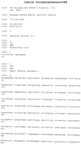 Вакцины против вируса простого герпеса (патент 2575067)