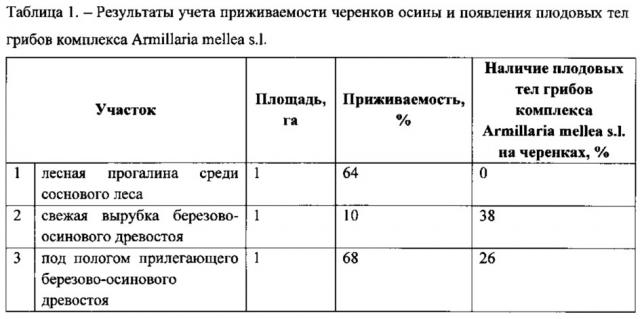 Способ оценки санитарного и лесопатологического состояния лесных площадей на наличие корневых патогенов (патент 2619987)