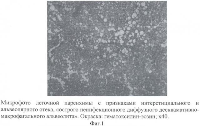 Способ моделирования острого повреждения легких (патент 2456677)