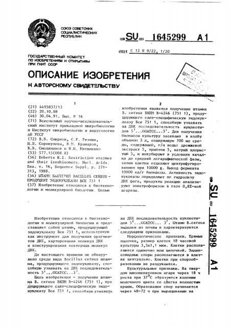 Штамм бактерий bacillus cereus - продуцент эндонуклеазы все 751 1 (патент 1645299)