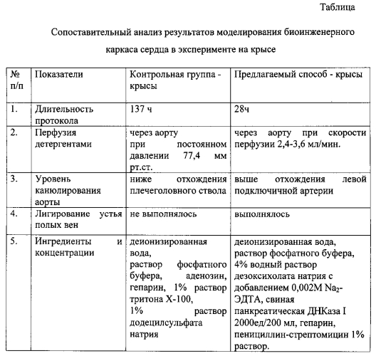 Способ моделирования биоинженерного каркаса сердца в эксперименте на крысе (патент 2550286)