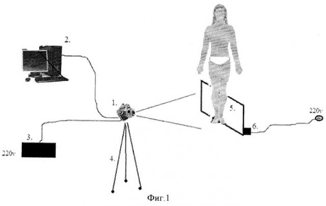 Тепловизионный комплекс для визуализации тепловых полей и измерения температур пациентов с дистальной гипотермией (патент 2432896)